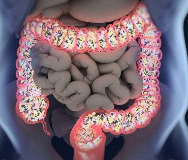 leaky gut treatment leaky gut treatment