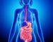 gut brain axis blog photo 2