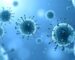 NK cells image blog MNHC