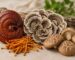 mushrooms to help regulate immunity blog image